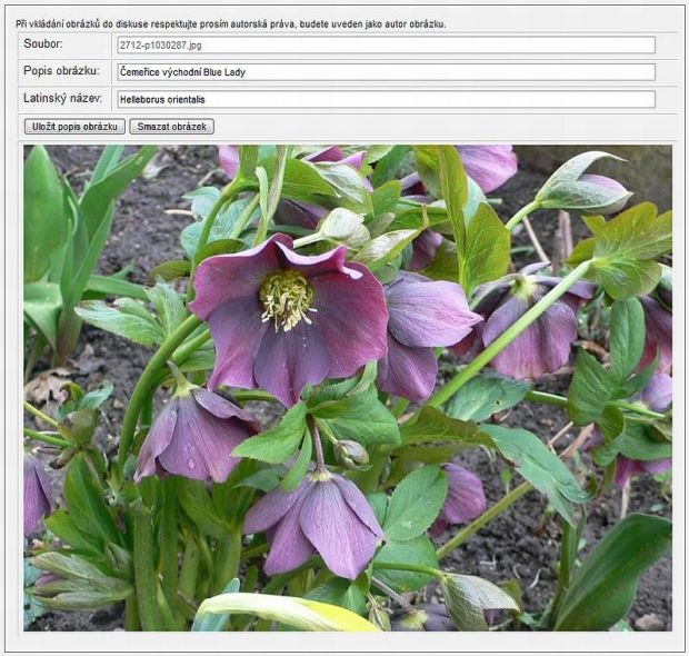 http://www.garten.cz/images_forum/6176-editace-obrazku.jpg