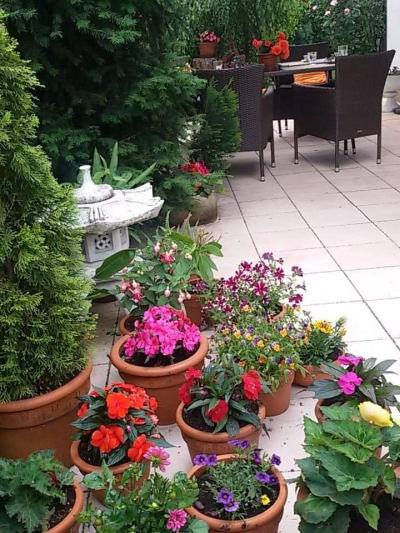 Zahrada jako obývací pokoj