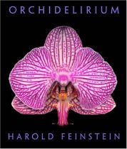 Orchidelirium Orchidelirium