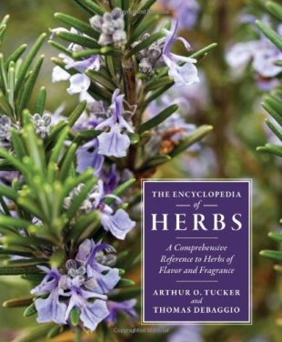 The Encyclopedia of Herbs