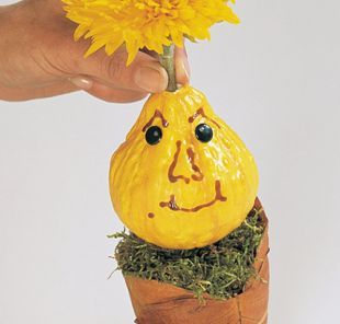 Květinové dekorace:  dýně s účesy z travin a květin (KNIŽNÍKLUB)