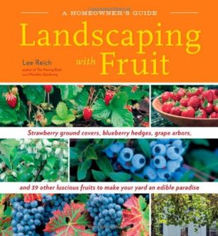 Landscaping With Fruit: Strawberry ground covers, blueberry hedges, grape arbors ...