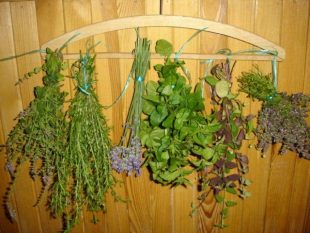 Praktické využitie byliniek v záhrade