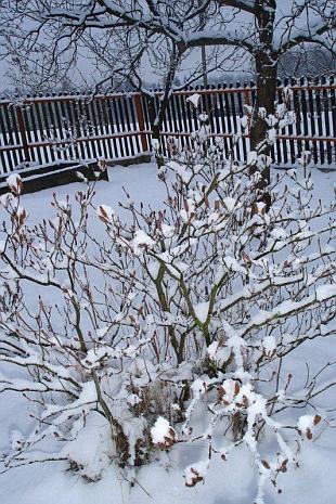 Tipy na mesiac december