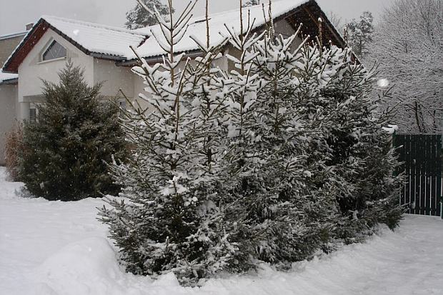 Tipy na mesiac január (NOVA PG)