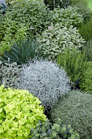 Tipy na mesiac marec (NOVA PG)