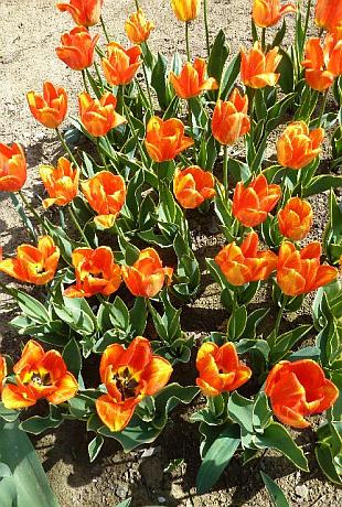 Tipy na mesiac apríl