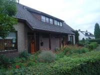 Dahlia (Jiřinka - jako výplň záhonu)