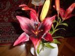 Lilium (Lilie 'London Heart' - Asijské hybridy vysoké)