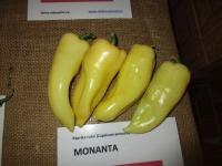 Paprika setá 'Monanta'