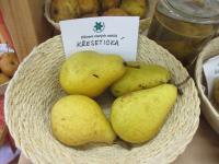 Hrušeň obecná 'Křesetická'