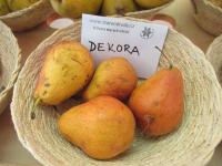 Hrušeň obecná 'Decora'