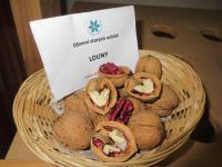 Ořešák královský 'Louny'