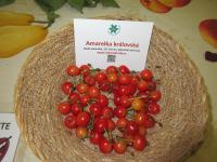 Prunus cerasus (Višeň obecná 'Amarelka královská')