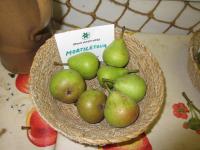 Hrušeň obecná 'Mortilletova'