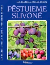 Pěstujeme slivoně