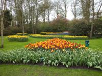 Keukenhof