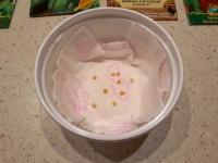 Pěstování sazenic - klíčení semen