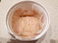 Pěstování sazenic - klíčení semen