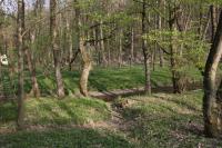 PR Terezské údolí